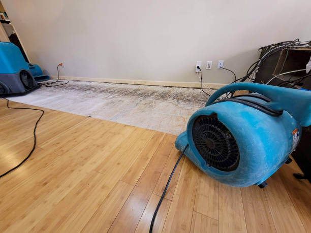 Professional Structural Drying technician working in Hopedale, MA